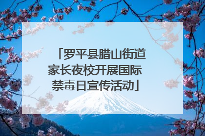 罗平县腊山街道家长夜校开展国际禁毒日宣传活动